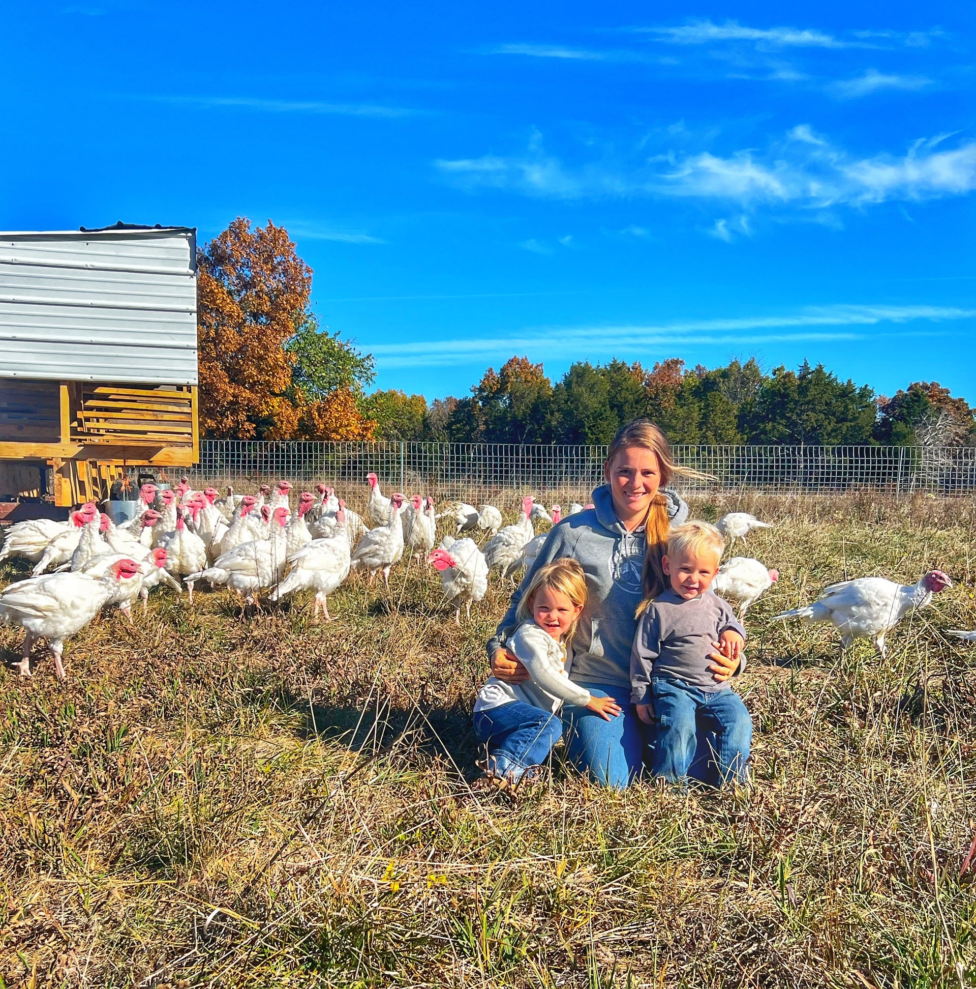 Pasture Raised NON-GMO Turkey Growing Season!