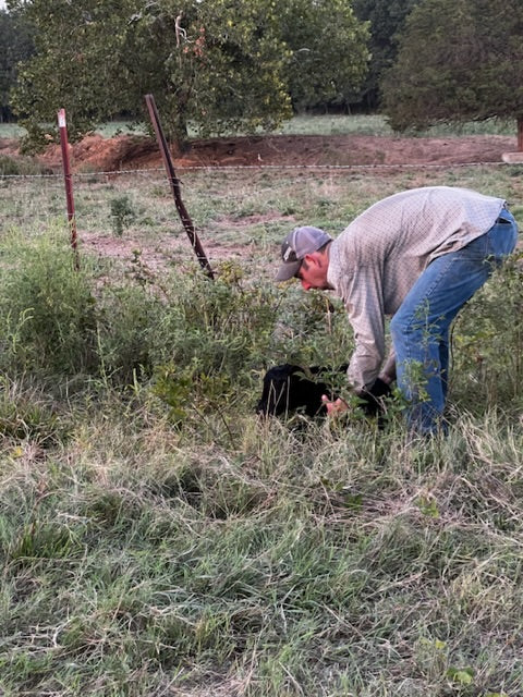 Our newest ranch adventure!