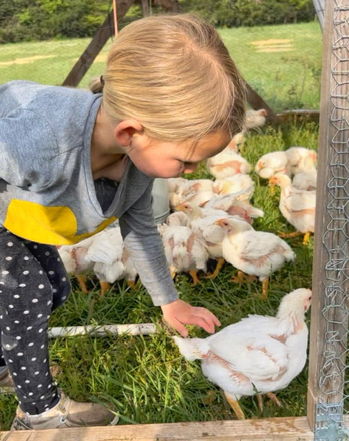 Pasture Raised Non-GMO Chicken in the Freezer!