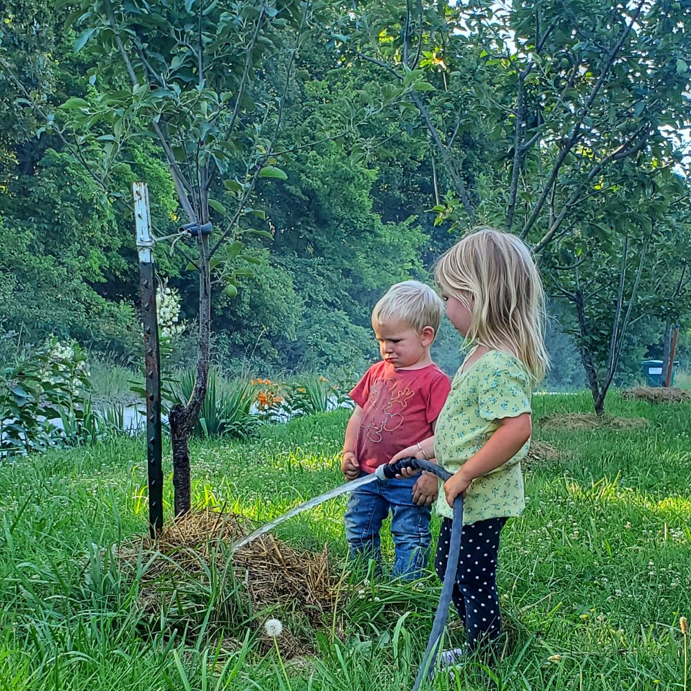 Heat Survival on the Ranch + Grazing Update