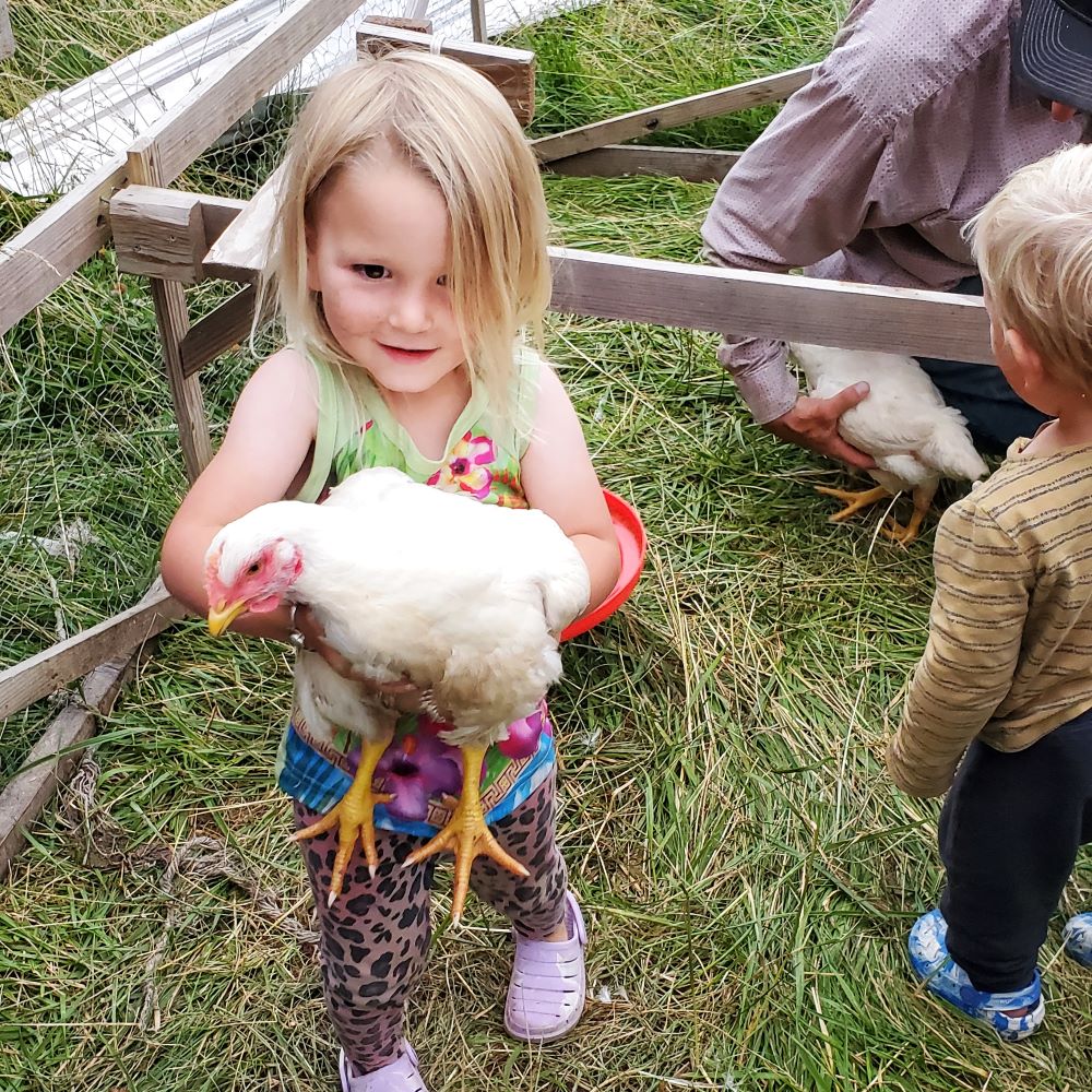 Chickens in the Freezer and a Little Break for Us